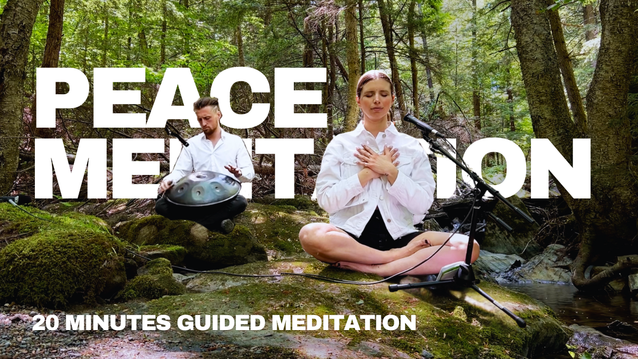Load video: 20 minutes guided global peace meditation in the forest with a handpan player